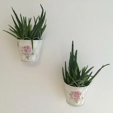 Nigler Apartamento *